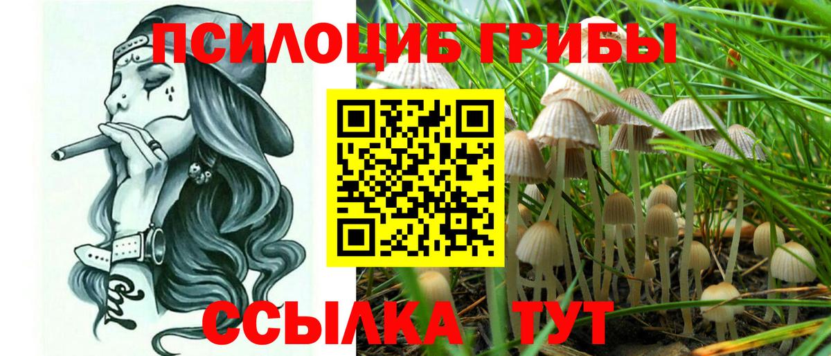 Видное  Псилоцибиновые грибы MAGIC MUSHROOMS  Вход с VPN 