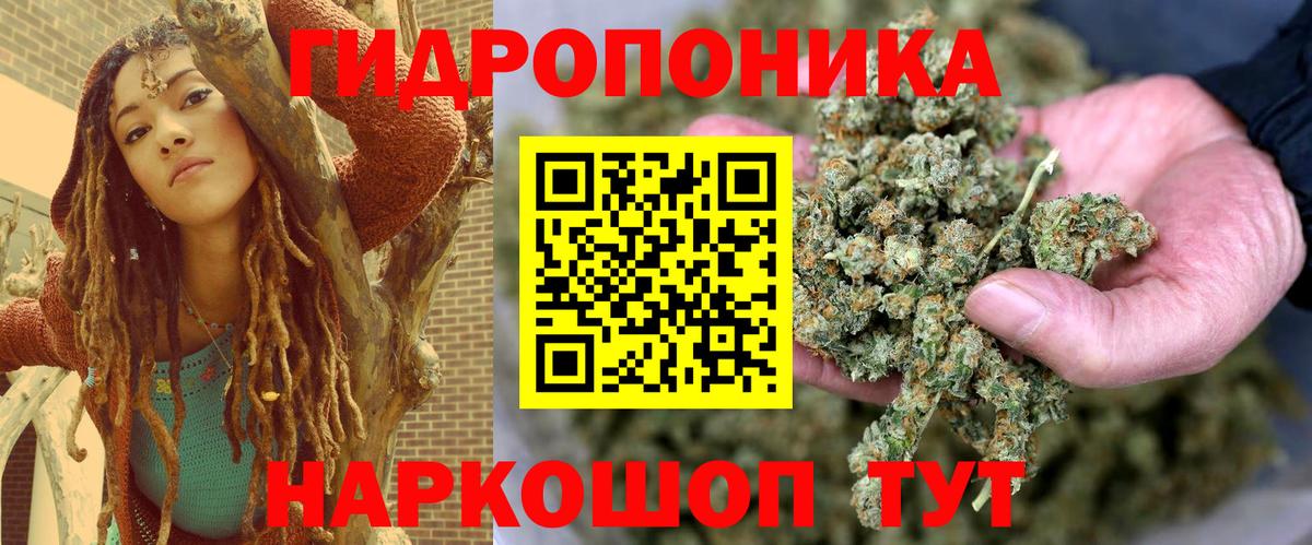 Конопля тримм  Бошки марихуана планчик  Бошки Шишки гибрид  Видное  Вход с VPN  Бошки марихуана VHQ 